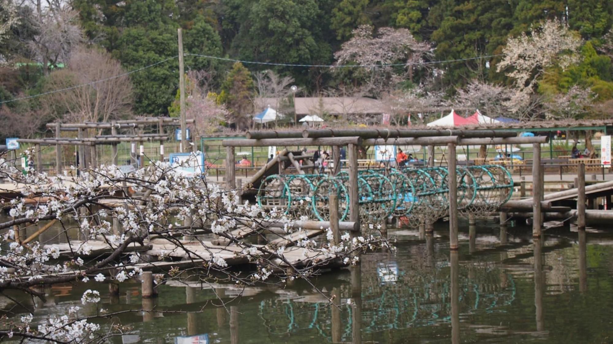 Toyoko Inn Kashiwa Eki Nishi Guchi Bagian luar foto